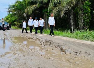 Tinjau Jalan Rusak di Labura, Jokowi Pastikan Bulan Juli Akan Diperbaiki