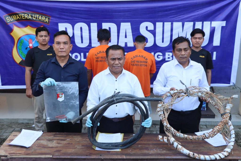 Kabel Lampu Jalan Tol Teluk Mengkudu Dicuri, Dua Pelaku Meringkuk di Tahanan