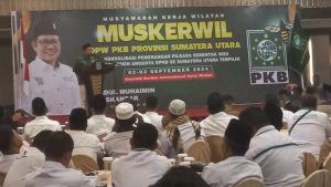 Muktamar Tandingan, Wasekjen PKB: Makar Secara Politik