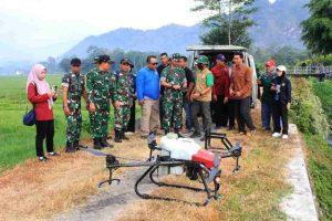 Sawah Petani di Trenggalek Diserang Wereng, TNI Turun Tangan Pakai Drone
