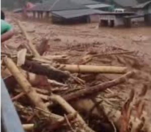 Banjir Bandang di Tapteng, Kadis LHK Sumut Ungkap Tidak Punya Kewenangan Terbitkan Izin Pemanfaatan Hutan