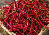 Sumut Kembali Cetak Rekor Inflasi Tertinggi se Indonesia Bulan Oktober 2025