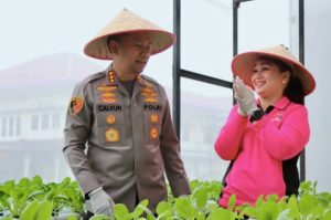 Hasilnya untuk Kebutuhan MBG, Polrestabes Medan Panen Tanaman Hidroponik