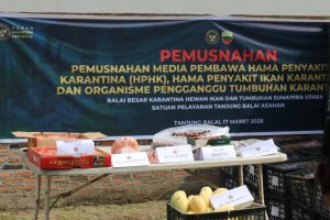 Karantina Sumut Musnahkan 5 Ton Komoditas Ilegal dari Malaysia Hingga Vietnam